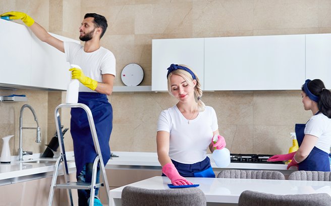 Domestic Cleaning-main Domestic Cleaning-main