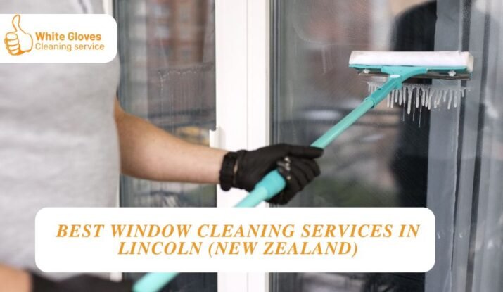 Best Window Cleaning Services in Lincoln