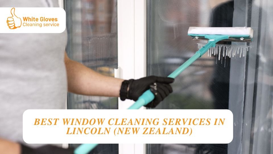 Best Window Cleaning Services in Lincoln