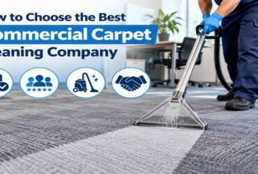 How to Choose the Best Commercial Carpet Cleaning Company